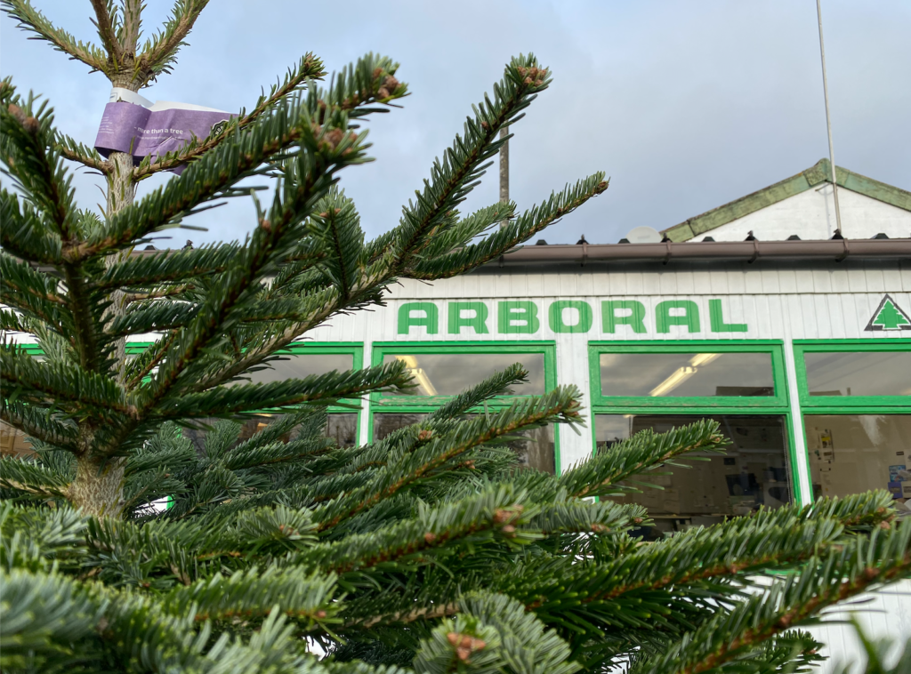 Echte kerstboom kopen Arboral